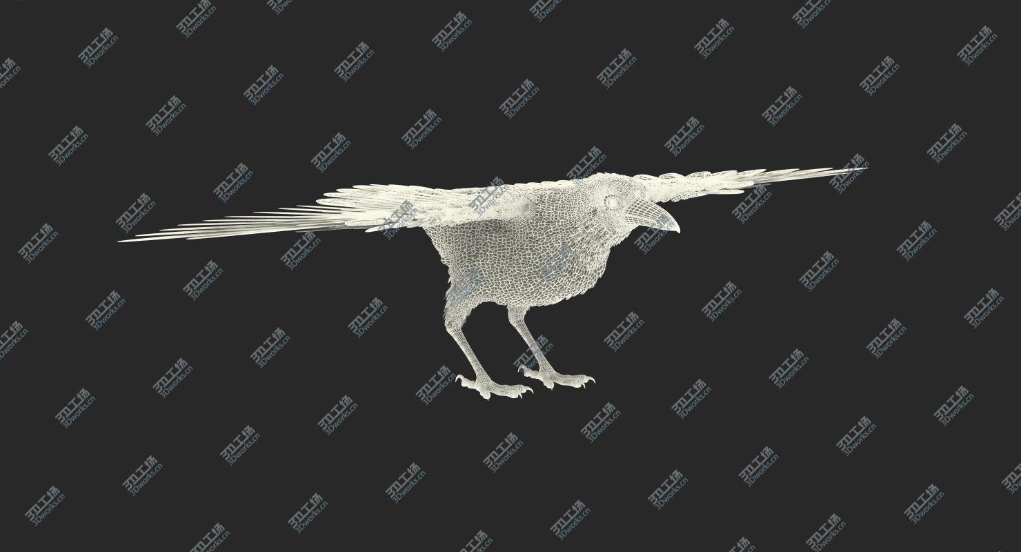 images/goods_img/2021040163/Common Raven Rigged for Cinema 4D 3D model/3.jpg